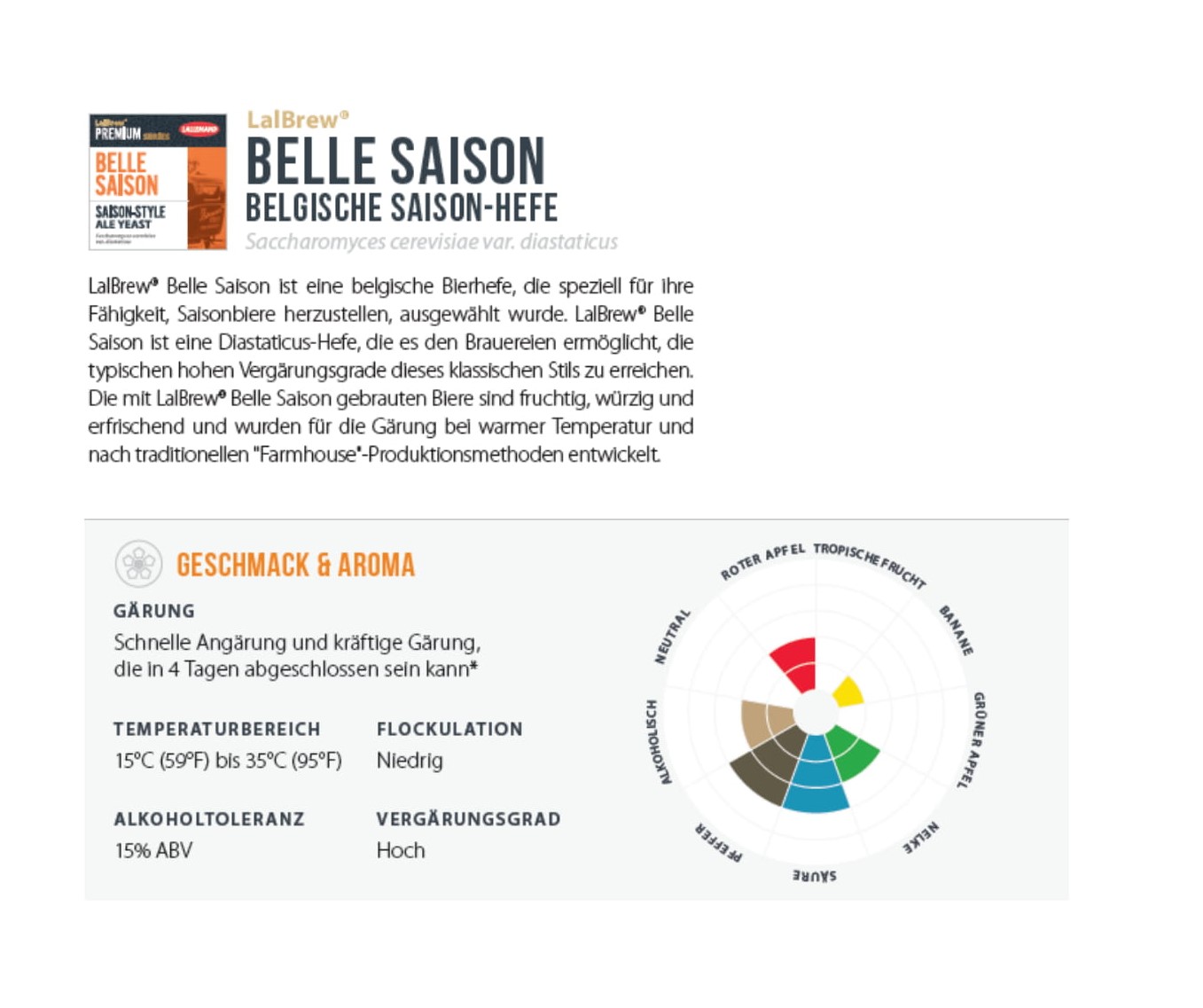 LelBrew Belle Saison